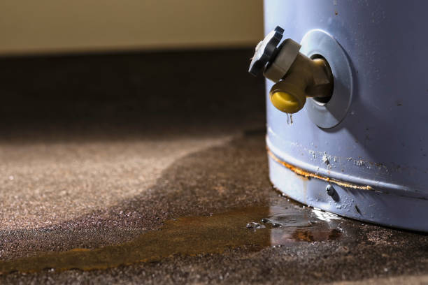Best Local water damage restoration  in Comstock Northwest, MI
