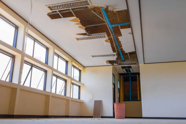 Best 24/7 water damage repair  in Comstock Northwest, MI