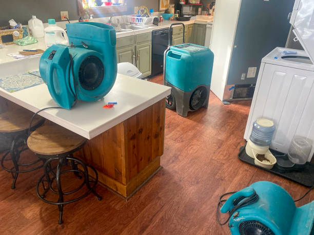 Best Water damage cleanup near me  in Comstock Northwest, MI