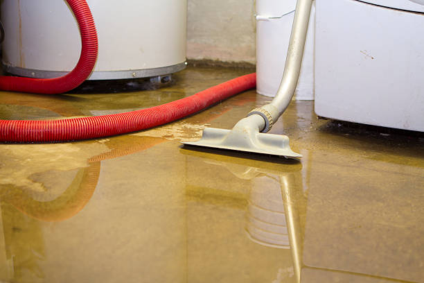 Best Flood damage cleanup  in Comstock Northwest, MI