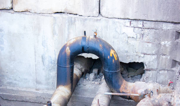 Best Mold removal after water damage  in Comstock Northwest, MI